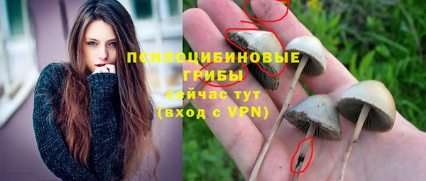 ПСИЛОЦИБИНОВЫЕ ГРИБЫ Алексин